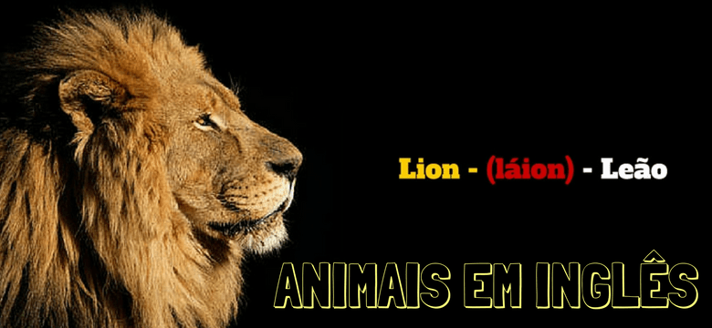 Já descobriu o que a palavra Lion em inglês quer dizer